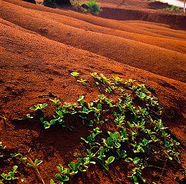 《星空之海》新预告短片展示酒馆海盗乐队演奏